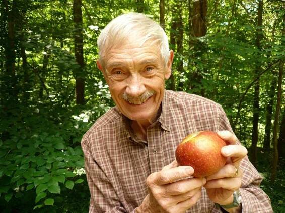 Tom Brown Apple Man - Adsum