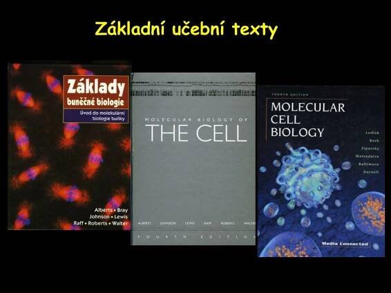 PPT - Základy buněčné biologie PowerPoint Presentation, free download - ID:1123423