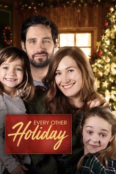 Splněné vánoční přání 65% [Every Other Holiday] (2018)