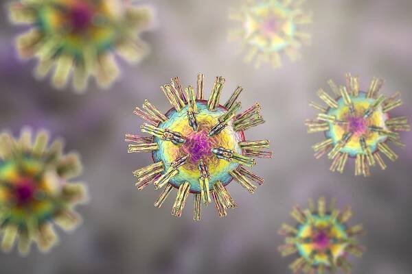 What’s the Link Between Herpes Simplex Virus and HIV?