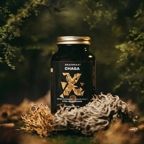 BrainMax Chaga 500 mg 100 cps.