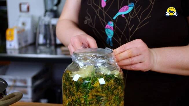 Pampeliškový sirup - zlatý poklad 🏵️ - Recept - Šikulio
