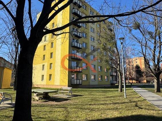 Pronájem bytu 3+1 Hranice, obrázek č.5