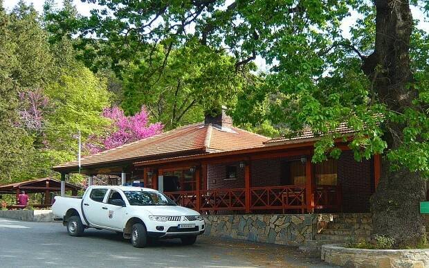 Cyprus Stavros tis Psokas Campsite