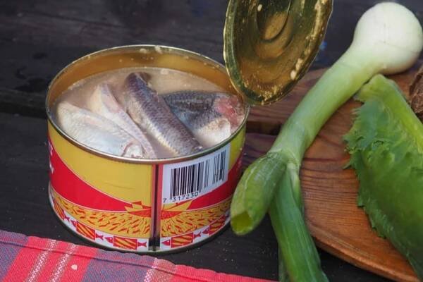 Surströmming: Jedno z nejsmradlavějších jídel na světě. Tuto rybu vyzkouší jen ti největší odvážlivci - Jimeto.cz