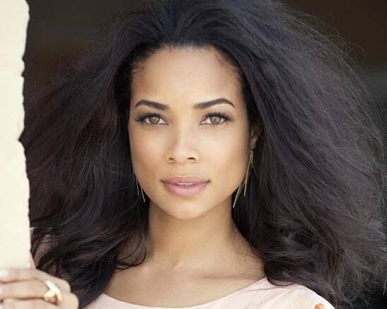 Rochelle Aytes fotka