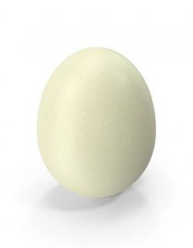 Egg White PNG & PSD Images