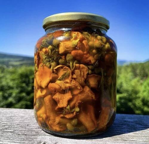 FORAGING BLOG – Galloway Wild Foods