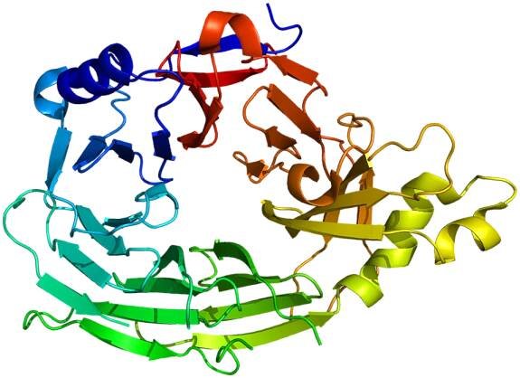 Nucleoporin - Wikipedia