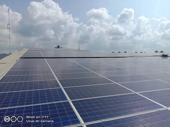 Suntree Lanka (Pvt) Ltd. | Leading Solar Solution Provider in Sri Lanka