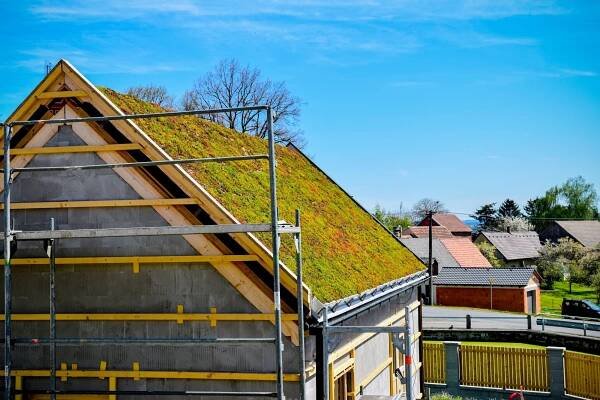 Extenzivní zelená střecha, Nezbavětice | Zelená fasáda a Živá stěna 