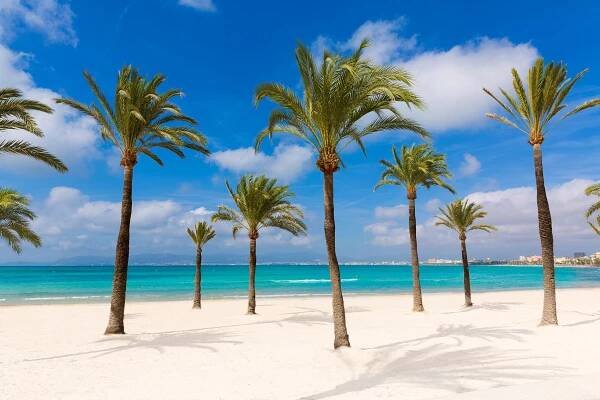 Sommerferien 2026