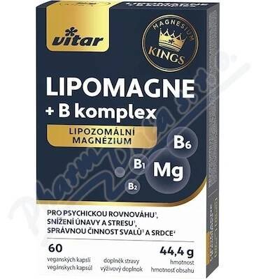 Vitar LIPOMAGNE+B komplex cps.60