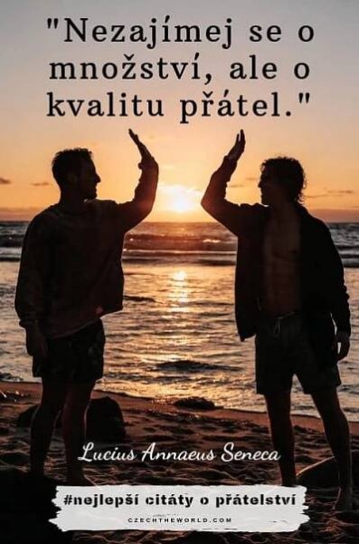 Další citáty o přátelství
