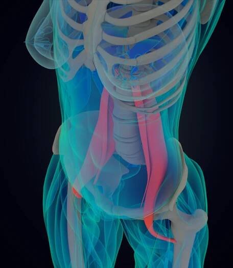 Psoas: „Sval duše“ - Martin Duris