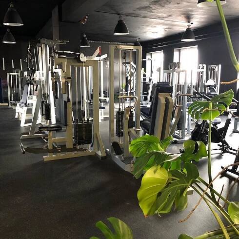 Fitness AVE – posilovna, kardio, osobní trénink, skupinový trenink