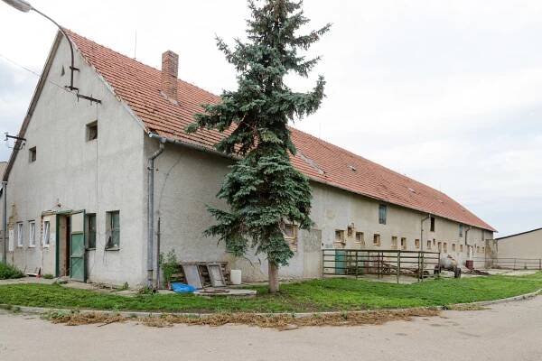 Kozí farma Nikáda foto 1