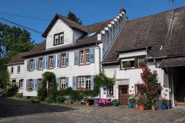 Wiesenmühle (Darmstadt-Eberstadt)