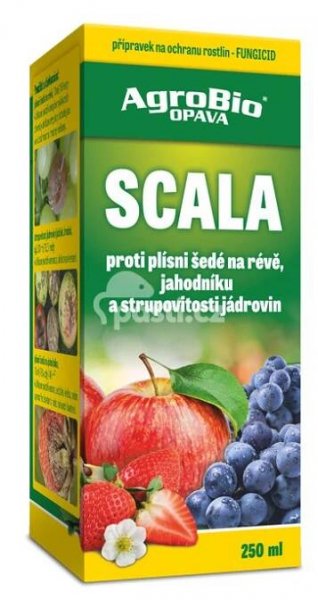 Scala 250 ml