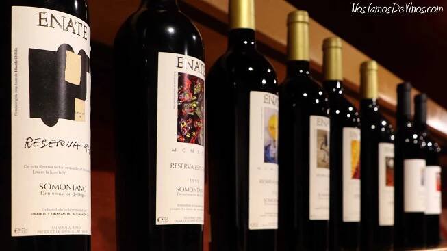 Enate-arte-visita-bodega