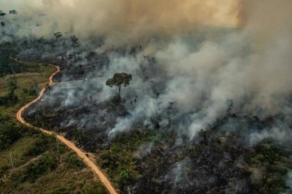 Proč Amazonie hoří a co s tím máme do činění my v Evropě - Greenpeace Česká republika
