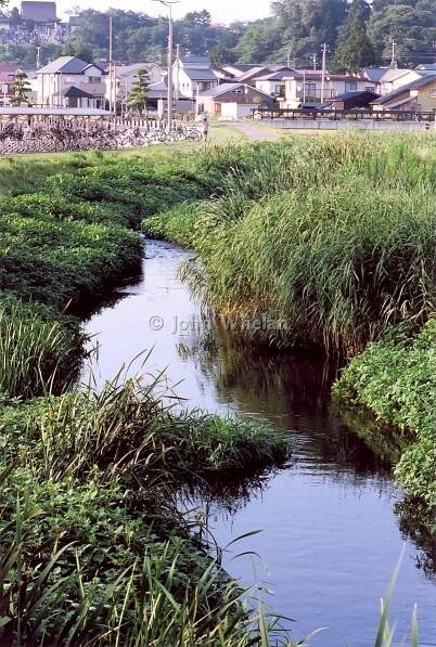 John Quincy Whelan - Aomori, Japan Pictures