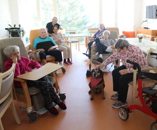 🍀Zvířecí aktivizace s Punťou | Alzheimer Home
