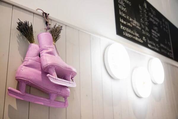 Levandulové bistro Olomouc | Levandulová farma