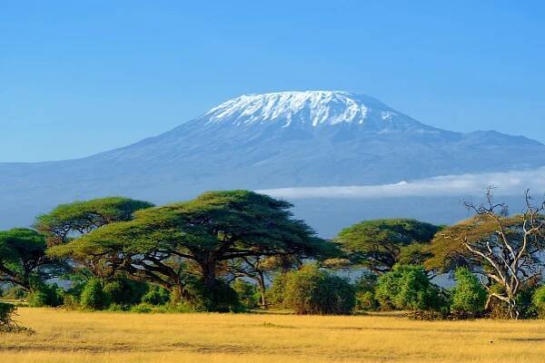 Plant With Purpose - Tanzania - REGID Carbon