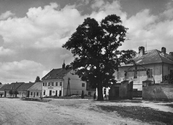 Velké Němčice, radnice; 1959 (sbírka Pavla Fiedlera).