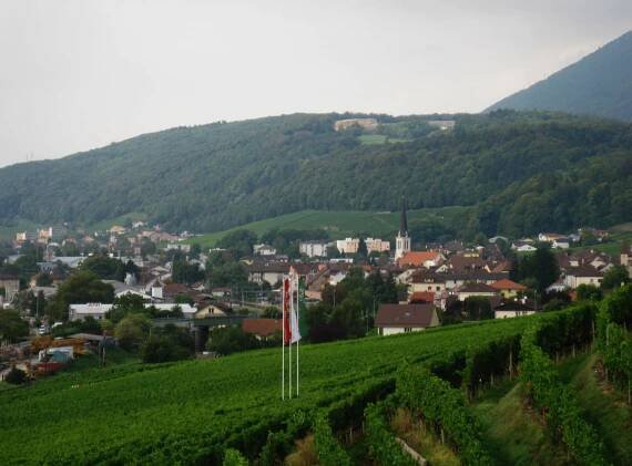 Cressier, Neuchâtel