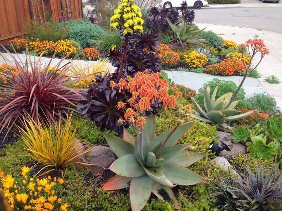 Remove Your Lawn, Create The Yard of Your Dreams!