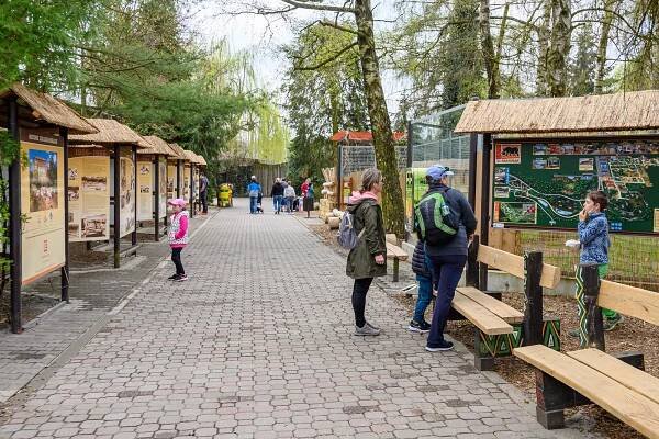 Narvané parkoviště, fronty před vstupem. Safari park přilákal přes 3 tisíce lidí
