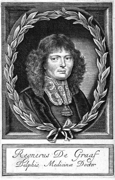 Reinier de Graaf