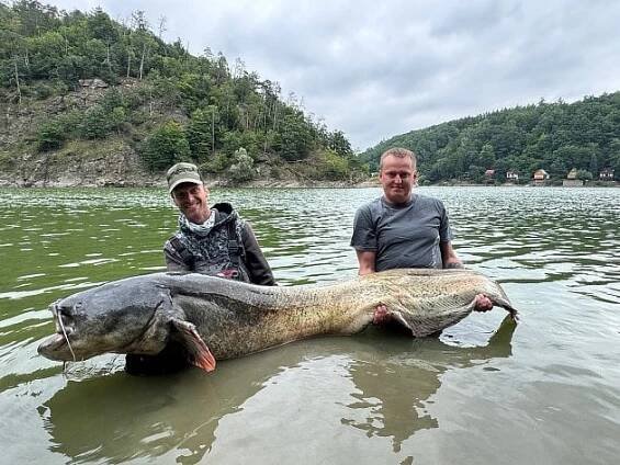 Sumec z Vranovské přehrady chycený v těchto dnech mohl mít okolo 250 centimetrů.