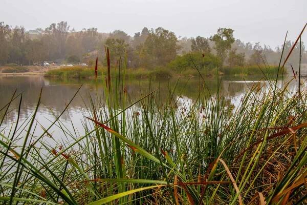 Laguna Niguel - Melinda Zoller