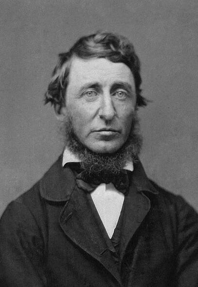 Henry David Thoreau citáty: 145 citátů o lásce, úspěchu, přátelství a autentickém životě