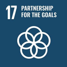 17: Partnership for the goals