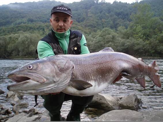 Láká vás lov hlavatky nebo tuňáka? Zkuste Černou Horu!