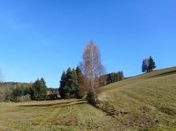 Z Čachnova do Pusté Rybné 26. října 2019 | SOBOTNÍ VÝŠLAPY