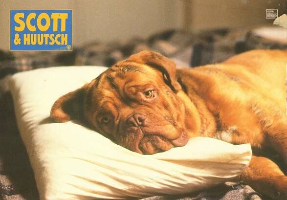 Turner a Hooch - Fotosky