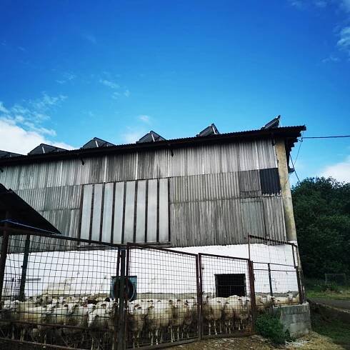 Kozí farma Pěnčín - předškoláci 27