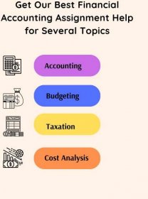 Financial Accounting Assignment Help Online By Experts | TheAssignmentHelpline