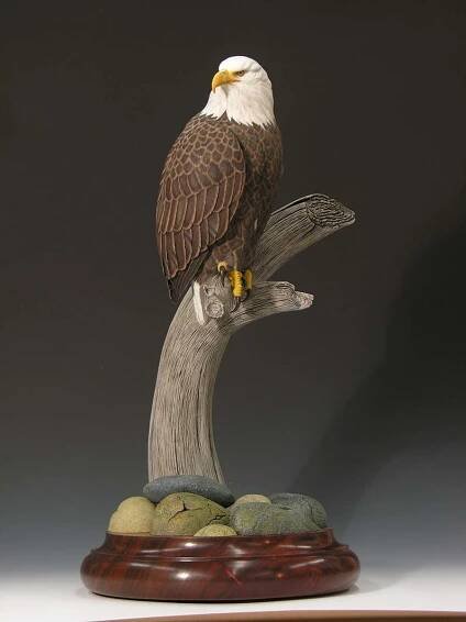 Bald Eagle