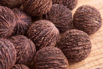 Ořechy ořešáku černého (Zdroj: Shutterstock)