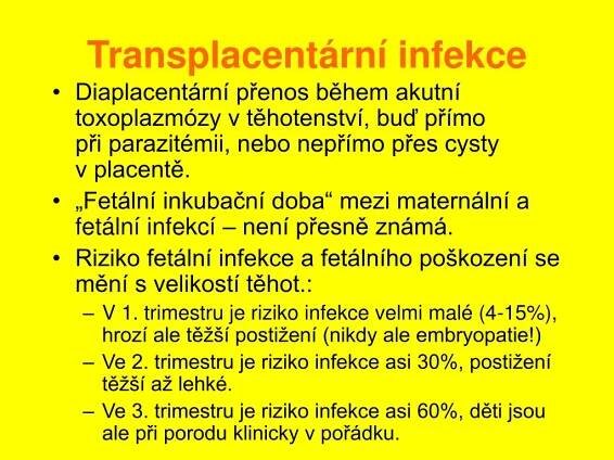 PPT - Toxoplazmóza v těhotenství PowerPoint Presentation, free download - ID:407212