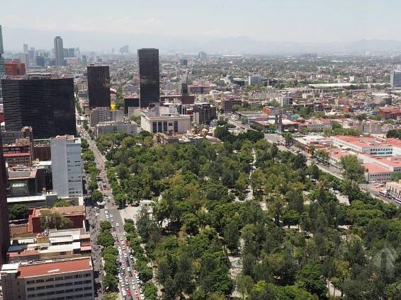 CIUDAD DE MÉXICO by Will Krieger