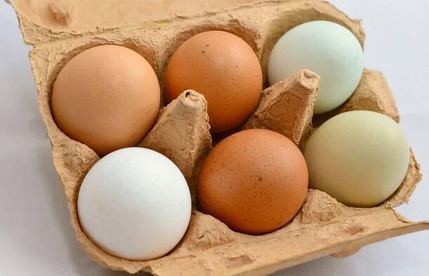 Obchodní řetězce stahují miliony polských vajec kvůli salmonelóze. Jak je poznat?