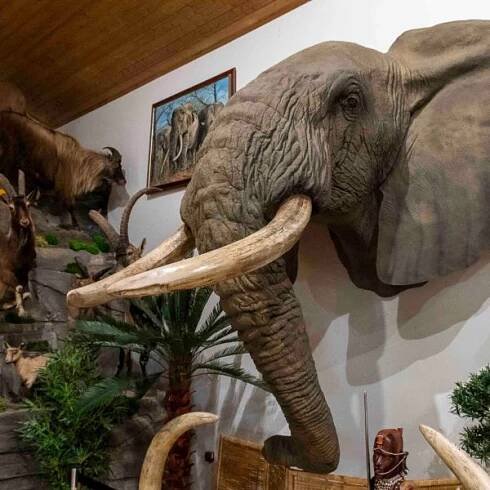 Home - Africké Muzeum