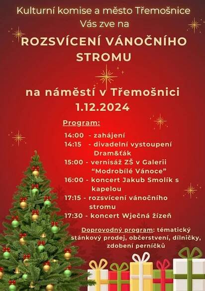 Rozsvícení vánočního stromu